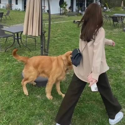 戈德堡一家第六季